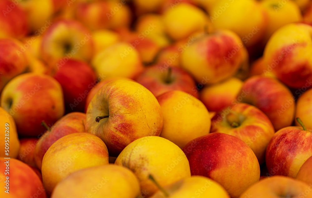 Äpfel an einem Marktstand auf dem Gelände des Spargelhof in Klaistow, Brandenburg, Äpfel an einem Marktstand auf dem Gelände des Spargelhof in Klaistow, Brandenburg,