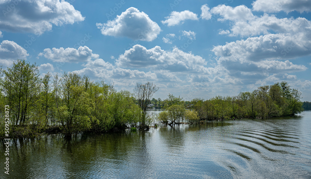 Fototapeta premium Naturschutzgebiet Oberhavel bei Hennigsdorf, Berlin, Deutschland