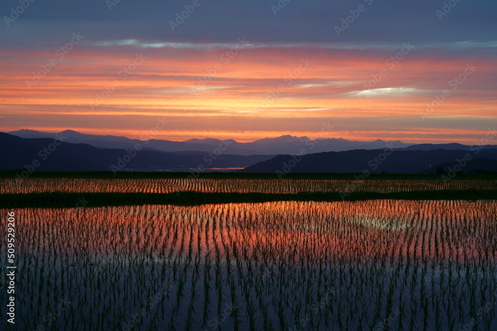田植えを終えた水田に映り込む夕焼けが美しい山村の風景