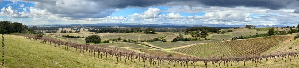 Sweeping panorama of vineyards and landscape in the Hunter Valley, NSW Australia.
