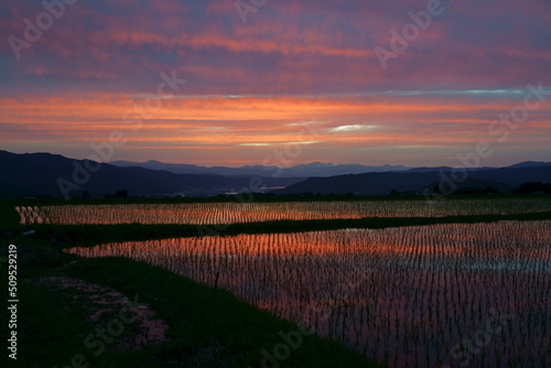 田植えを終えた水田に映り込む夕焼けが美しい山村の風景