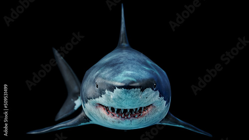 Close-up of a scary great white shark swimming underwater Front view Megalodon teeth is the Most predator shark in the ocean. 8k 3D Rendering