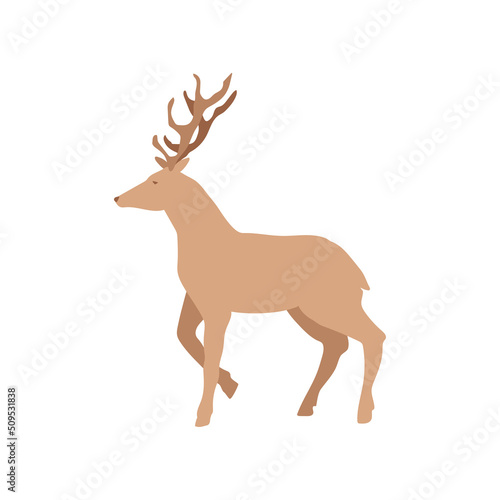 Deer isolated. Wild horned animal in simple flat style. Vector illustration. Reindeer walking.