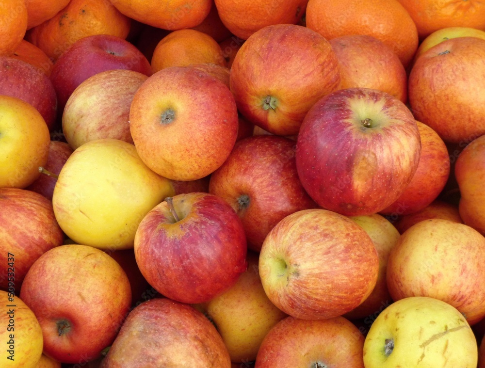 Fresh apples from the market 