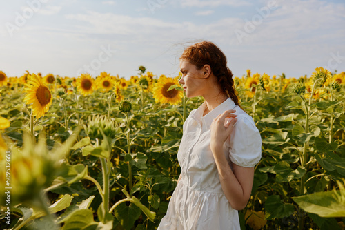 woman with two pigtails looking in the sunflower field landscape © SHOTPRIME STUDIO