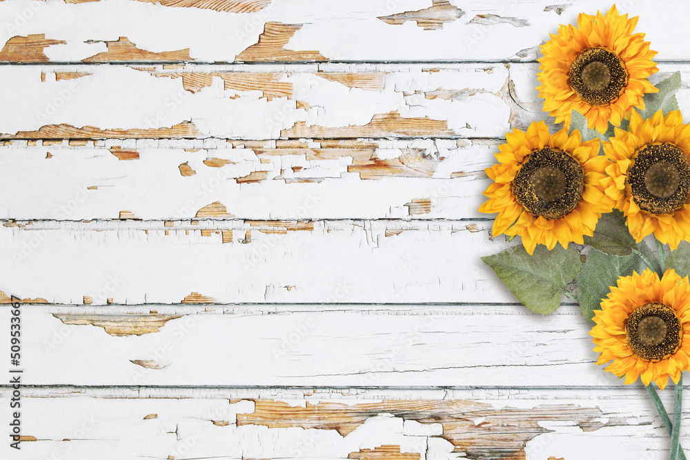 Wooden background floral sunflower decoration wood texture Stock Photo