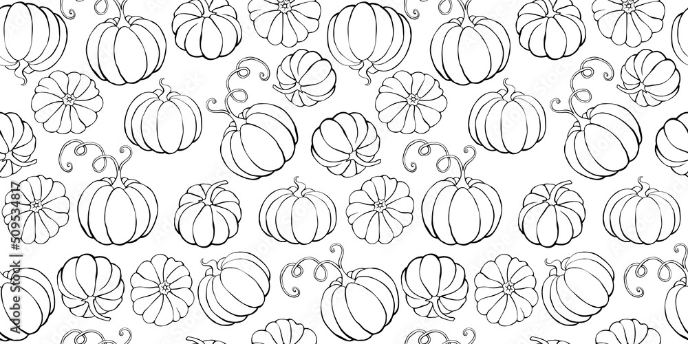 Vector seamless pattern with outline pumpkins in doodle style. Halloween or thanksgiving background and texture
