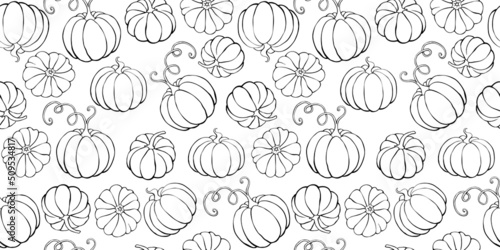 Vector seamless pattern with outline pumpkins in doodle style. Halloween or thanksgiving background and texture