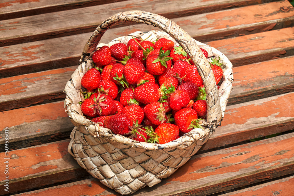 Fresh strawberries in a birch bark basket