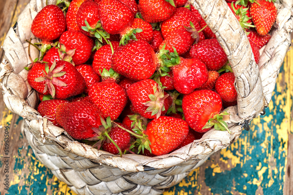 Fresh strawberries in a birch bark basket