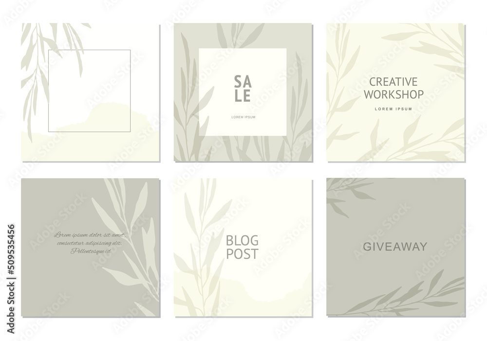 Set neutral background in pastel gray colors with plants elements. Social media post template. Vector frames for banner, postcard, presentation, poster, advertising