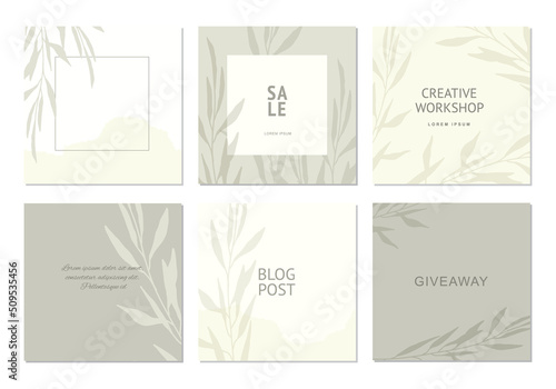 Set neutral background in pastel gray colors with plants elements. Social media post template. Vector frames for banner, postcard, presentation, poster, advertising