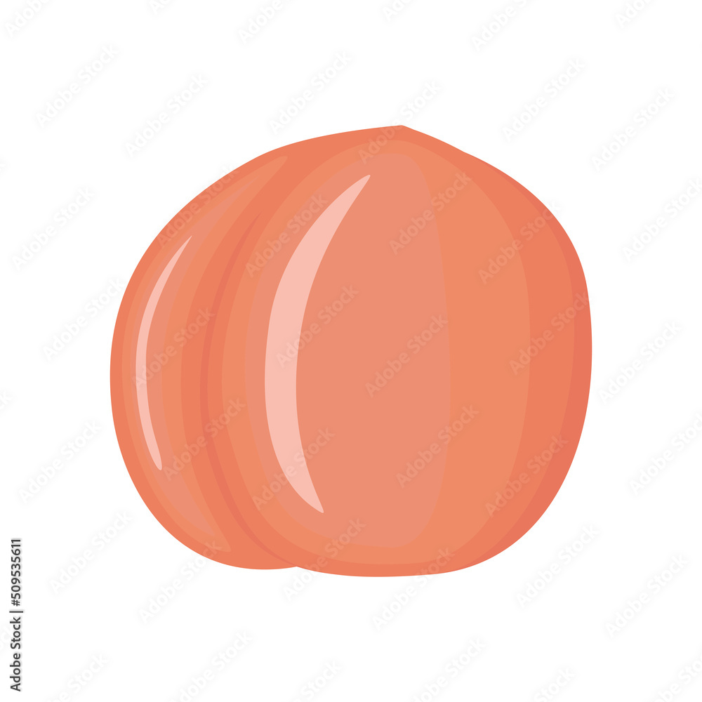 Sweet peach vegan fruit vector flat isolated illustration Sweet peach vegan fruit vector flat isolated illustration