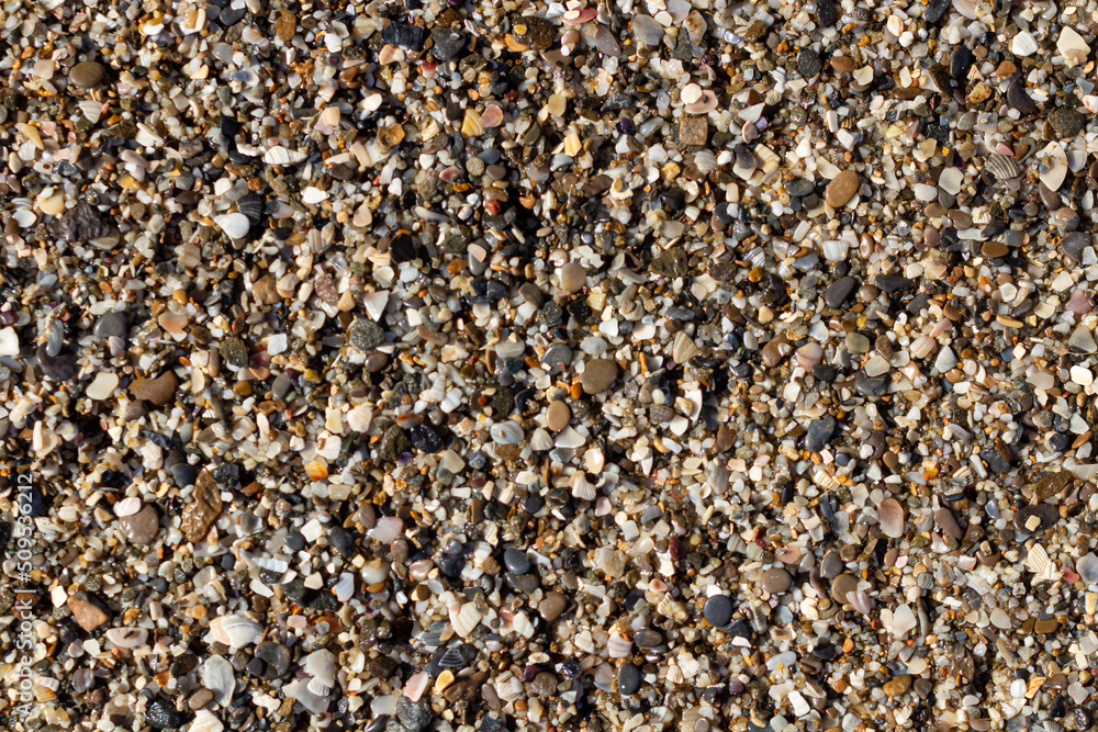 sea stone texture with many seashells. beautiful textured background. sea stone texture with many seashells. beautiful textured background.