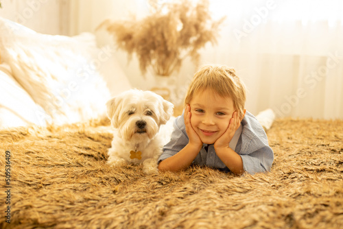 Cute little boy with his dog in bed, playing together photo