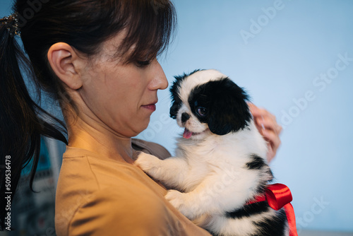 Fotografie, Tablou Young woman holding new puppy gift of japanese spaniel dog on blue background