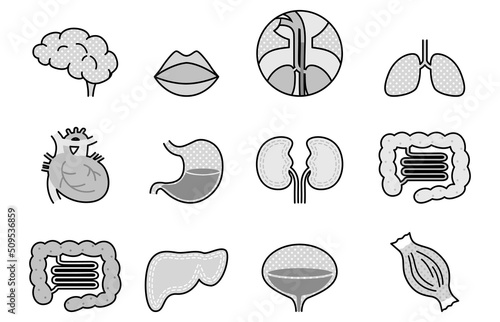 臓器のイラスト素材セット（アイコン・白黒）
