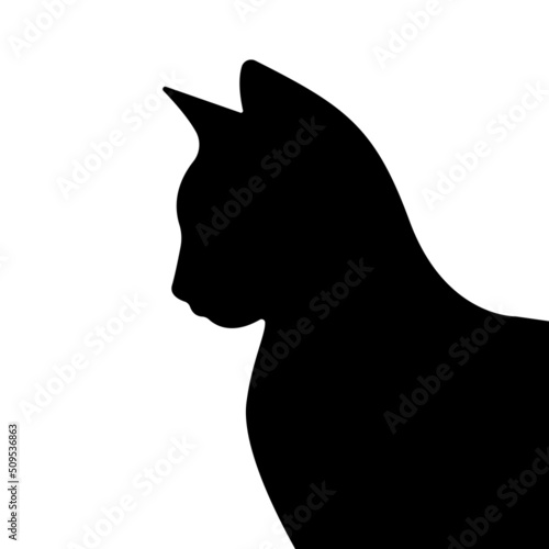 Black cat silhouette Vector cat illustration isolated on white 
