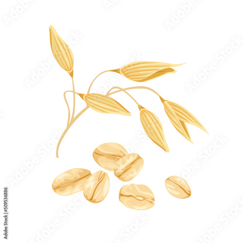 Oats vector illustration. Oat flakes and ear isolated on white. Cartoon flat style.