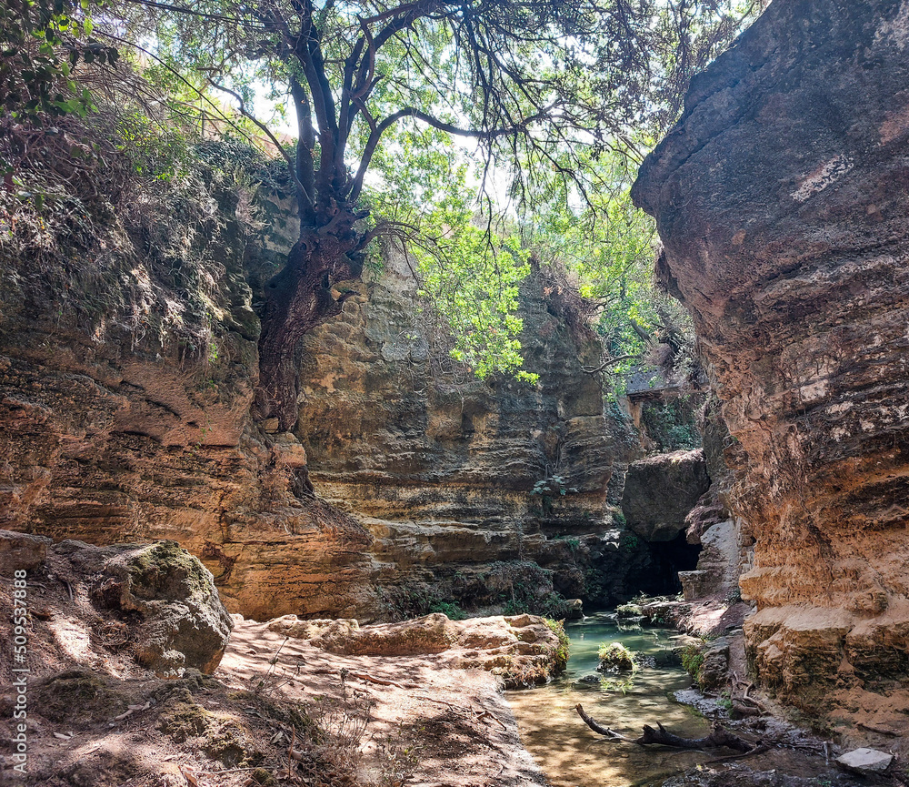 Rodini park in Rhodes