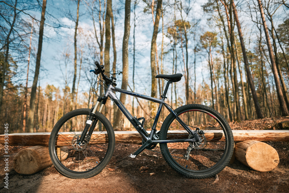 Mountain bike in the woods. A bicycle with sports geometry and air fork stands in the forest. Concept of spending time doing extreme sports outside Mountain bike in the woods. A bicycle with sports geometry and air fork stands in the forest. Concept of spending time doing extreme sports outside