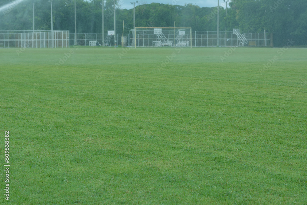 Fototapeta premium soccer field with lines