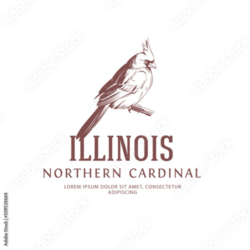  Vintage Bird Logo. Northern Cardinal. State Bird of Illinois