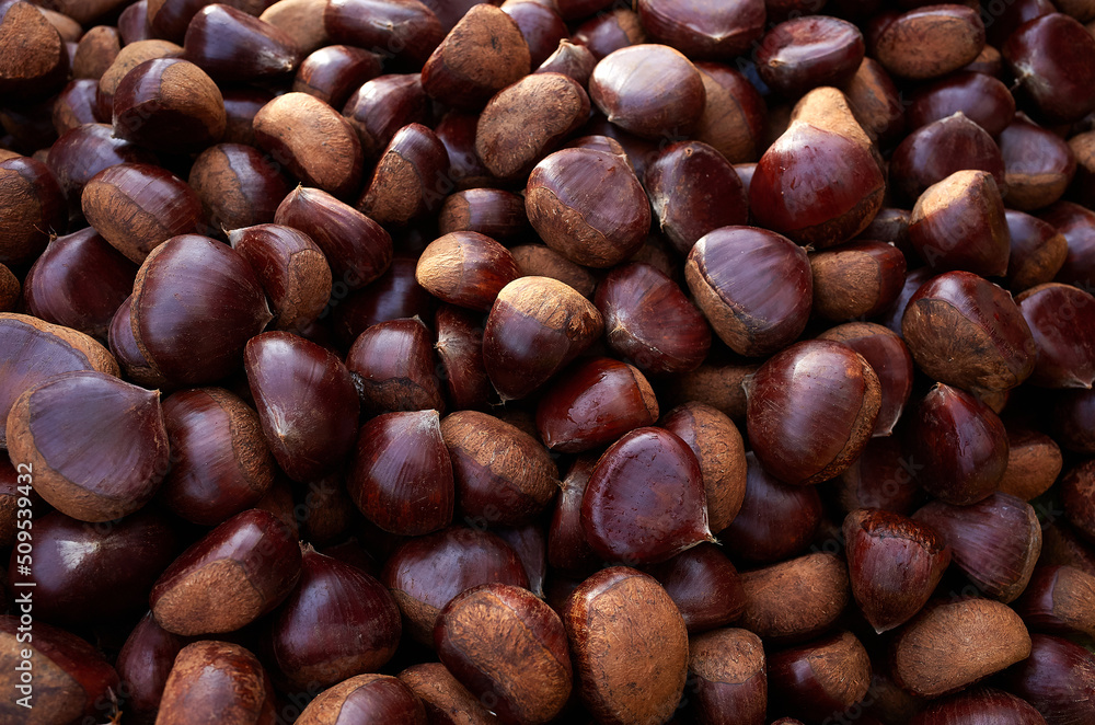 There are many delicious chestnut.
There are many delicious chestnut.