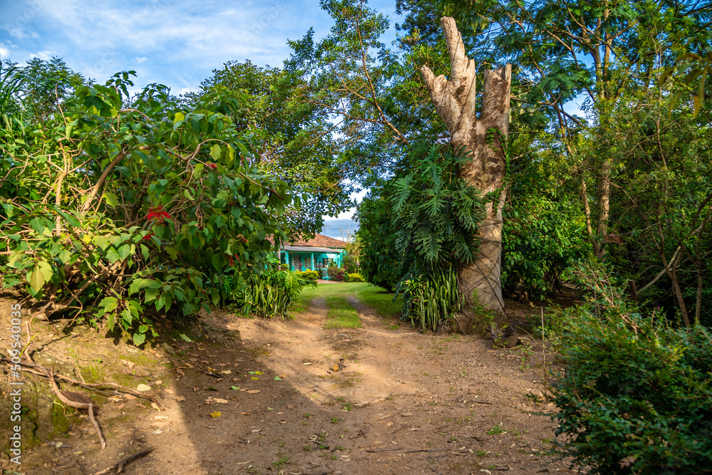 forest road to the town in a mountain area with a beautiful view forest road to the town in a mountain area with a beautiful view
