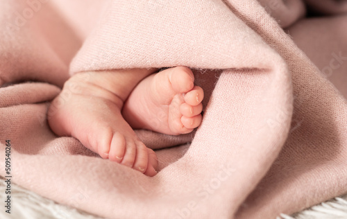 The legs of a newborn baby are wrapped in soft pink blanket. Selective soft focus, close-up
