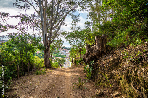 forest road to the town in a mountain area with a beautiful view