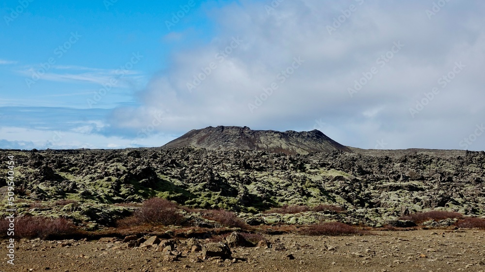 Vulkanlandschaft in Island mit Moosen bewachsen. 