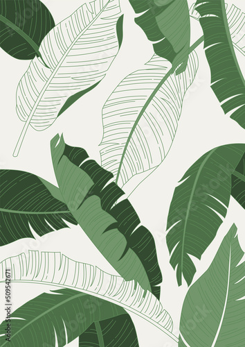 Vector illustration of tropical plants.