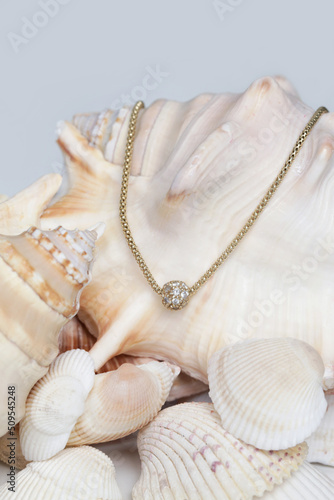 Necklase product shot. Gold necklace with round pendant on marine shell background. Jewelry fashion photography. 