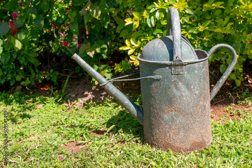 A close up view of a rusted old vintage watering can in a open green treed garden 