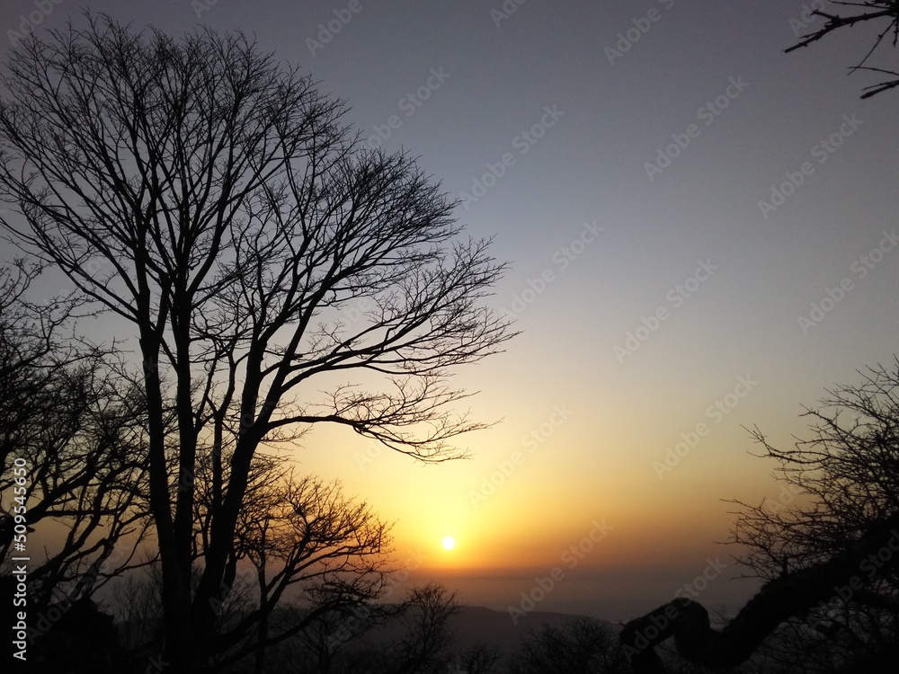 Fototapeta premium 夕焼け