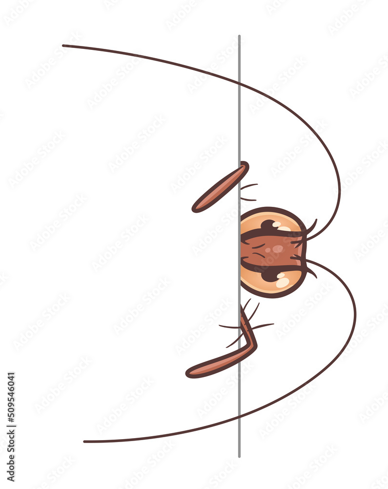 Cartoon cockroach looking from behind a white sheet. Can be used as ...