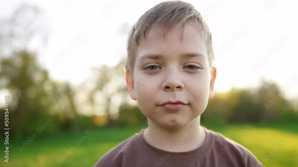 little boy outdoor portrait. happy family kid a dream concept. child close-up in the park in nature looking to lifestyle the side. boy kid portrait in the background grass forest park little boy outdoor portrait. happy family kid a dream concept. child close-up in the park in nature looking to lifestyle the side. boy kid portrait in the background grass forest park