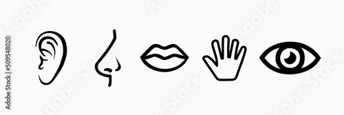 Set of five human senses sight, smell, hearing, touch, taste. Simple line icons.