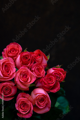 Pink romantic roses. Floral background with soft focus. Colorful rose wall background. bouquet  water drops  copy space  beautiful   bouquet isolated on  dark  black background