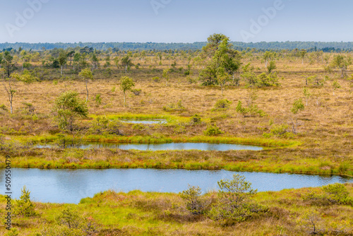 View to swamp during hot summer day Trail to Aukstumala © DBA