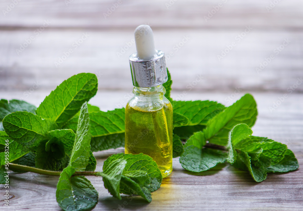 Peppermint essential oil in a small bottle. Selective focus. Peppermint essential oil in a small bottle. Selective focus.
