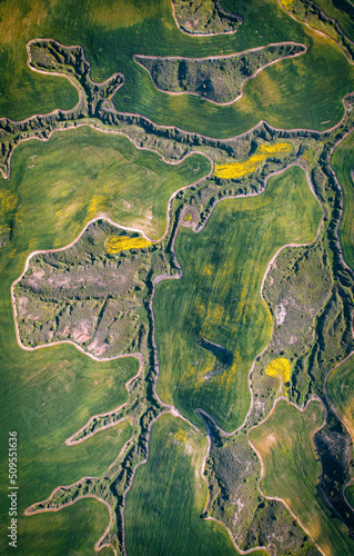 old map