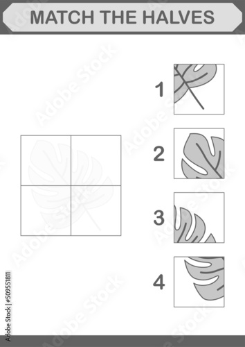 Match halves of Monstera. Worksheet for kids