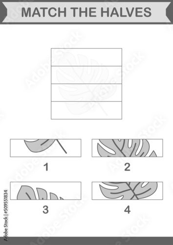 Match halves of Monstera. Worksheet for kids