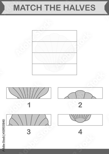 Match halves of Seashell. Worksheet for kids