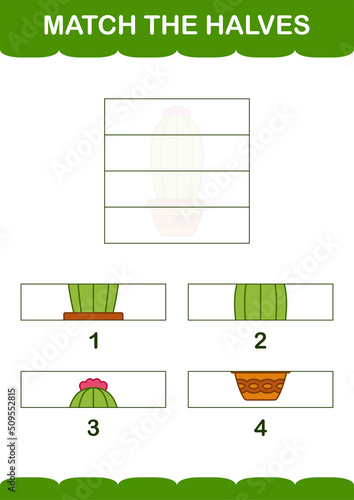 Match halves of Cactus. Worksheet for kids