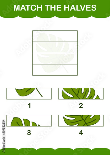 Match halves of Monstera. Worksheet for kids