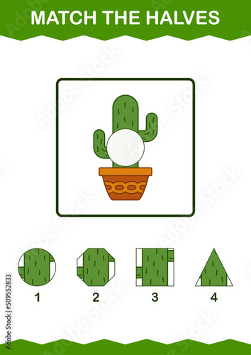 Match halves of Cactus. Worksheet for kids