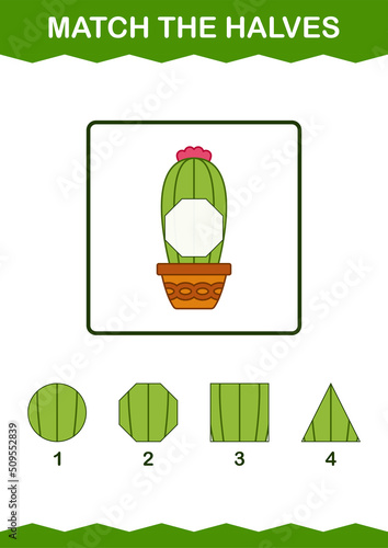Match halves of Cactus. Worksheet for kids